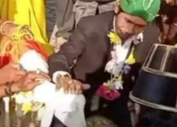 ছাগলকে বিয়ে করলেন ইন্দোনেশিয়ার সাইফুল আরিফ নামে এক ব্যক্তি