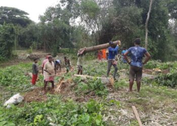 মুখ্যমন্ত্রীর কড়া বার্তার পরেও পূর্ব বর্ধমানে বৃক্ষ নিধন চলছেই