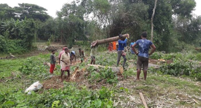 মুখ্যমন্ত্রীর কড়া বার্তার পরেও পূর্ব বর্ধমানে বৃক্ষ নিধন চলছেই