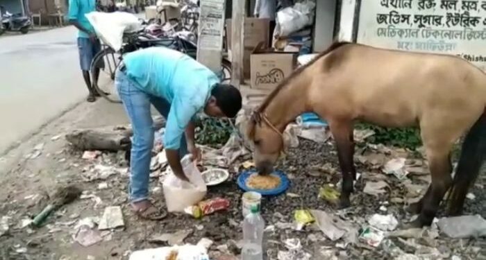মালিকবিহীন খোঁড়া ঘোড়া নিয়ে অতান্তরে ভাতারের পশুপ্রেমী যুবক
