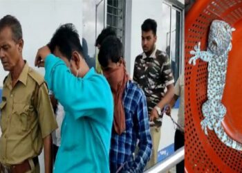 তক্ষক পাচার করতে গিয়ে হাতেনাতে ধৃত ৪, ধৃতদের ঠাঁই হল শ্রীঘরে