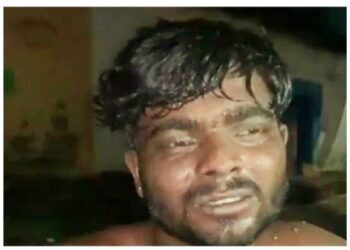 ছত্তিশগড়ে গরুর চার পা বেঁধে ধর্ষণ, গ্রেফতার শাহরে আলম নামে যুবক