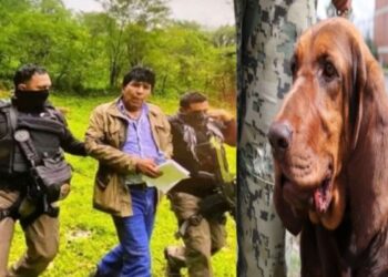 মেক্সিকোর মাদকসম্রাট রাফায়েল কারো কুইনটেরো গ্রেপ্তার