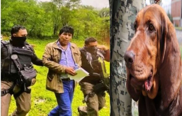 মেক্সিকোর মাদকসম্রাট রাফায়েল কারো কুইনটেরো গ্রেপ্তার