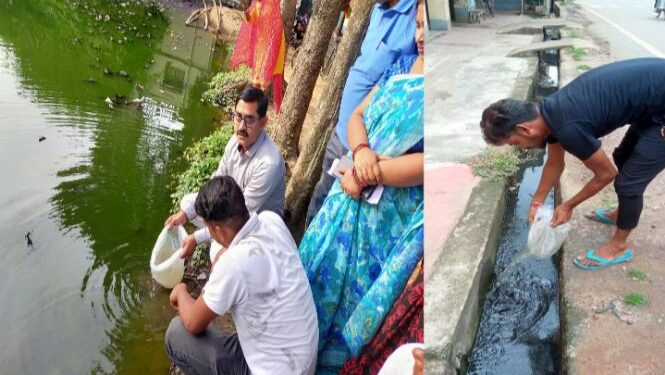 গাপ্পি মাছ ছাড়া হলো গুসকরার বিভিন্ন পুকুরে ও নালায়