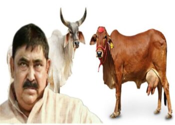 অসুস্থতার বাহানা করেও হল না শেষ রক্ষা, অনুব্রতকে বীরভূম থেকে তুলে নিয়ে এল সিবিআই