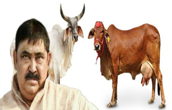 অসুস্থতার বাহানা করেও হল না শেষ রক্ষা, অনুব্রতকে বীরভূম থেকে তুলে নিয়ে এল সিবিআই