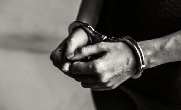 রাজস্থান পুলিশের গোয়েন্দা শাখার হাতে গ্রেফতার দুই আইএসআইয়ের এজেন্ট