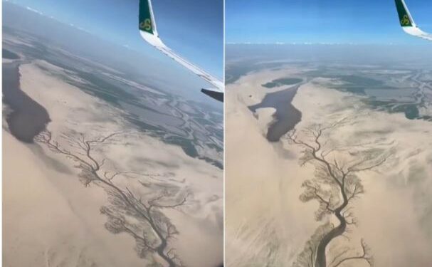 গ্লোবাল ওয়ার্মিং : শুকিয়ে যাচ্ছে চীনের বৃহত্তম মিষ্টি জলের হ্রদ ‘পোয়াং’