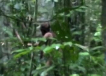 ব্রাজিলের একটি আদিবাসী সম্প্রদায়ের সর্বশেষ জীবিত ব্যক্তি ‘গর্ত মানব’-এর মৃতদেহ উদ্ধার