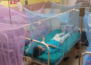 কাটোয়ায় ৪ ডেঙ্গু আক্রান্ত রোগী   হাসপাতালে চিকিৎসাধীন