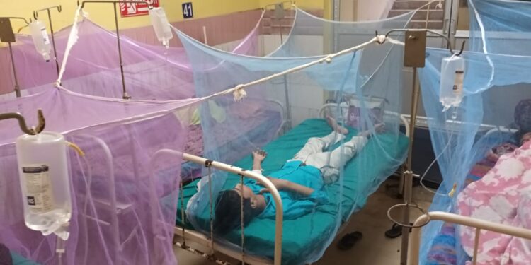 কাটোয়ায় ৪ ডেঙ্গু আক্রান্ত রোগী   হাসপাতালে চিকিৎসাধীন