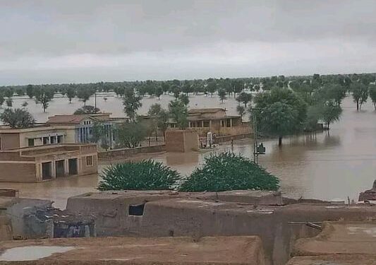 বন্যায় ৩০০ গৃহহীন মানুষের আশ্রয়স্থল হয়ে উঠেছে বেলুচিস্তানের মন্দির, আশ্রয় নিয়েছে অনেক মুসলিম পরিবার
