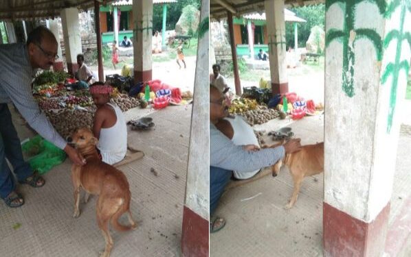 ভাতারের গ্রামে কুকুরের আতঙ্ক, পথ কুকুরের টিকাকরণ করল প্রাণীসম্পদ বিকাশ বিভাগ