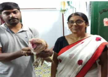 মন্তেশ্বর থেকে অসুস্থ লক্ষ্মী পেঁচা উদ্ধার করল বর্ধমানের স্বেচ্ছাসেবী সংস্থা