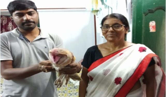 মন্তেশ্বর থেকে অসুস্থ লক্ষ্মী পেঁচা উদ্ধার করল বর্ধমানের স্বেচ্ছাসেবী সংস্থা