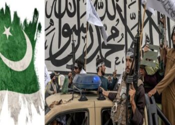 পাকিস্তানের অভ্যন্তরে অপরাধমূলক কর্মকাণ্ড থেকে বছরে ২০০ মিলিয়ন ডলার আয় করছে তালিবান