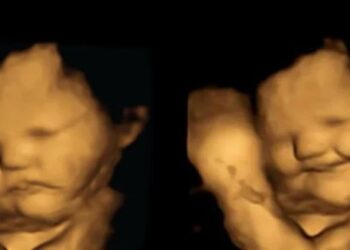 অন্তঃসত্ত্বা নারী যা খান, গর্ভের সন্তান কি তার স্বাদ–গন্ধ পায় ?- জানালো ডারহাম বিশ্ববিদ্যালয়