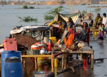 মশাবাহিত রোগ ঠেকাতে ভারতের কাছ থেকে  ৬২ লাখ মশারি কিনছে পাকিস্তান