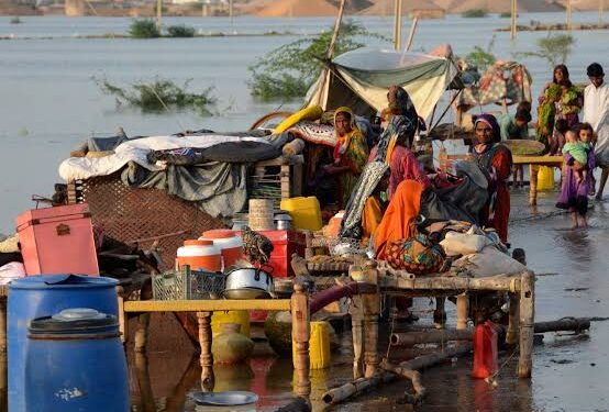 মশাবাহিত রোগ ঠেকাতে ভারতের কাছ থেকে  ৬২ লাখ মশারি কিনছে পাকিস্তান