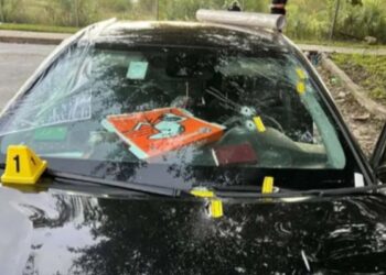 ফ্লোরিডায় ভাড়া গাড়ির মধ্যে ঘুমন্ত অবস্থায় অন্তঃসত্ত্বা বধুকে গুলি করে মারলো অজ্ঞাতপরিচয় দুষ্কৃতী