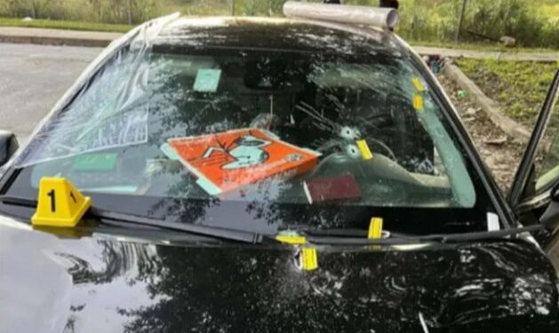 ফ্লোরিডায় ভাড়া গাড়ির মধ্যে ঘুমন্ত অবস্থায় অন্তঃসত্ত্বা বধুকে গুলি করে মারলো অজ্ঞাতপরিচয় দুষ্কৃতী