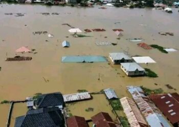 নাইজেরিয়ায় নৌকাডুবির ঘটনায় নিহত ১০, নিখোঁজ ৬০