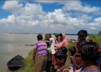 গলসির শিল্লাঘাটে দামোদরের জলে ডলফিনের খেলা দেখতে উপচে পড়া ভিড়