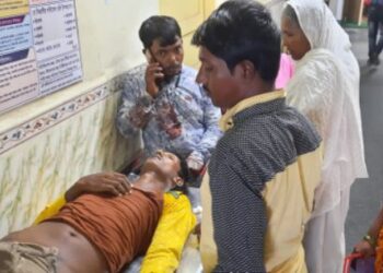 কাটোয়ায় মোষের গুঁতোয় মৃত্যু বাইক আরোহীর, গুরুতর জখম বাইক চালক