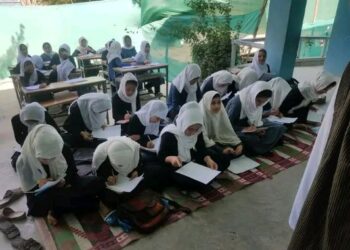 বিশ্ববিদ্যালয়ের ছাত্রীদের কোর্স ঠিক করবে তালিবান