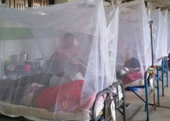 কালনায় ডেঙ্গু আক্রান্তের সংখ্যা বৃদ্ধিতে উদ্বিগ্ধ পূর্ব বর্ধমান জেলা স্বাস্থ্য দফতর