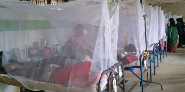 কালনায় ডেঙ্গু আক্রান্তের সংখ্যা বৃদ্ধিতে উদ্বিগ্ধ পূর্ব বর্ধমান জেলা স্বাস্থ্য দফতর