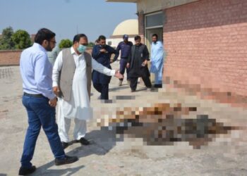 পাকিস্তানের হাসপাতালের ছাদে শত শত পচাগলা মৃতদেহ