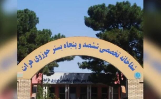 তালিবানি বিধিনিষেধর জেরে মানসিক রোগে ভুগছেন আফগান মহিলারা