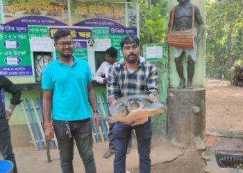 বর্ধমানের শক্তিগড় থেকে বড়সড় স্ত্রী কচ্ছপ উদ্ধার করল বনদপ্তর