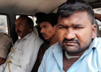 বিহারের নাম্বার প্লেট লাগানো ট্রাকে গরু পাচার, গ্রেফতার ৩, আটক ৩ ট্রাক, উদ্ধার ৭৮ টি গরু