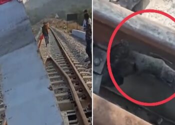 রাজস্থান : প্রধানমন্ত্রীর উদ্বোধন করা উদয়পুর-আহমেদাবাদ রেলপথের ব্রিজ  বিস্ফোরক দিয়ে উড়িয়ে দেওয়ার চেষ্টা