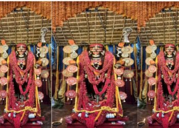 পাগলি কালী মায়ের পূজো ঘিরে মেতে উঠল কাটোয়া শহর