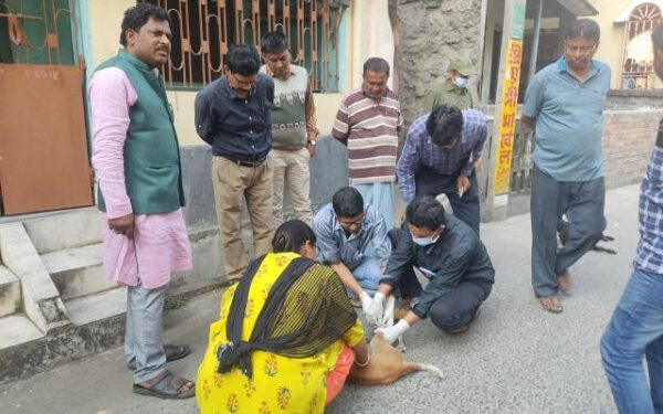 ছোঁয়াচে ‘ক্যানাইন ডিসটেম্পার’ রোগে এক মাসে কালনায় তিন শতাধিক পথ ককুরের মৃত্যু