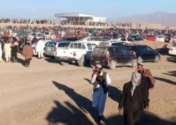 ফের স্টেডিয়ামে সর্বসমক্ষে ৩ ব্যক্তিকে বেত্রাঘাতের সাজা দিল তালিবান