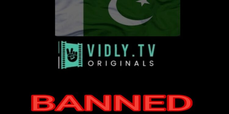 পাকিস্তান ভিত্তিক ওটিটি প্ল্যাটফর্ম ভিডলি টিভি নিষিদ্ধ করেছে ভারত