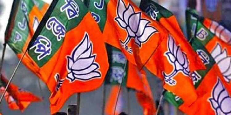 বিজেপির ‘ডিসেম্বর ধামাকা’ দেখার অপেক্ষায় রাজ্যবাসী