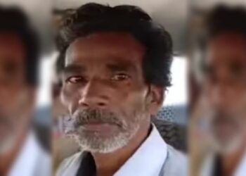 শিলিগুড়িতে পথ কুকুরকে ধর্ষণ করে গ্রেফতার প্রৌঢ়