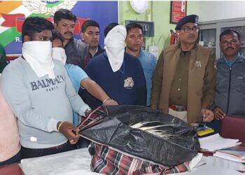 ডাউন কাঞ্চনজঙ্ঘা এক্সপ্রেস থেকে উদ্ধার বিরল প্রজাতির দুটি সজারু, গ্রেপ্তার ৩