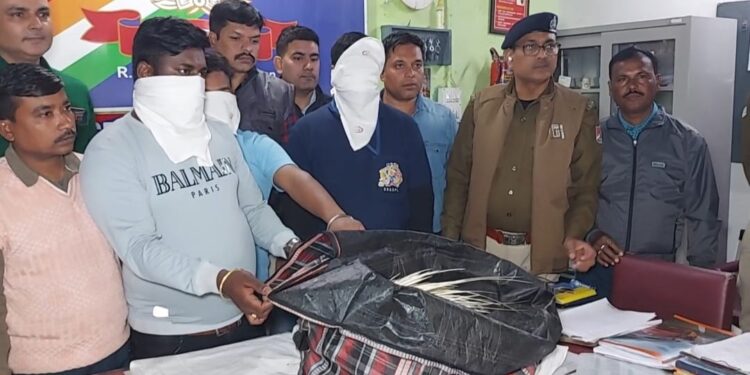 ডাউন কাঞ্চনজঙ্ঘা এক্সপ্রেস থেকে উদ্ধার বিরল প্রজাতির দুটি সজারু, গ্রেপ্তার ৩