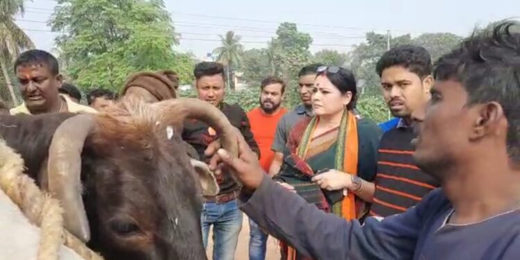 Burdwan : গরু পাচার রুখলেন খোদ বিজেপি সাংসদ অগ্নিমিত্রা পাল