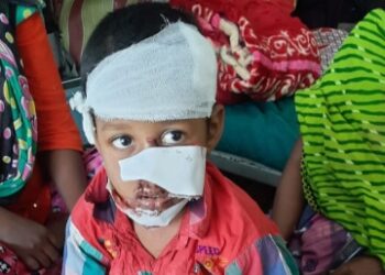 সদ্যজাত সন্তানদের হারিয়ে ক্ষিপ্ত দুই মা কুকুরের কামড়ে কাটোয়ায় জখম ১০