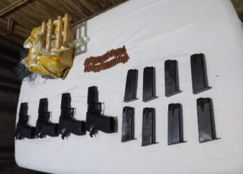 ড্রোনের সাহায্যে অস্ত্র পাচারের পাকিস্থানের চেষ্টা রুখে দিল বিএসএফ