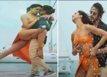 “পাঠান ছবি দেখানো হলে চেয়ার ভাঙলে বা থিয়েটার পুড়ে গেলে দায় আপনার”- সিনেমা হলের মালিকদের  হুমকি হিন্দু নেতার