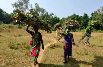 খেজুর ও শাল পাতাই উপার্জনের উৎস, আবাস যোজনার বাড়ি মেলেনি আউশগ্রাম জঙ্গল মহলে ঝুপড়িতে বসবাসকারীদের